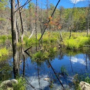 Meet your Posher, Xinyuan